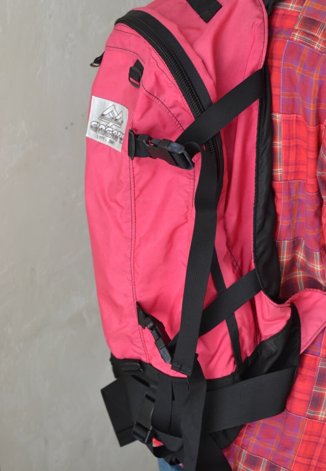 gregory 1977-2007 상품이미지2