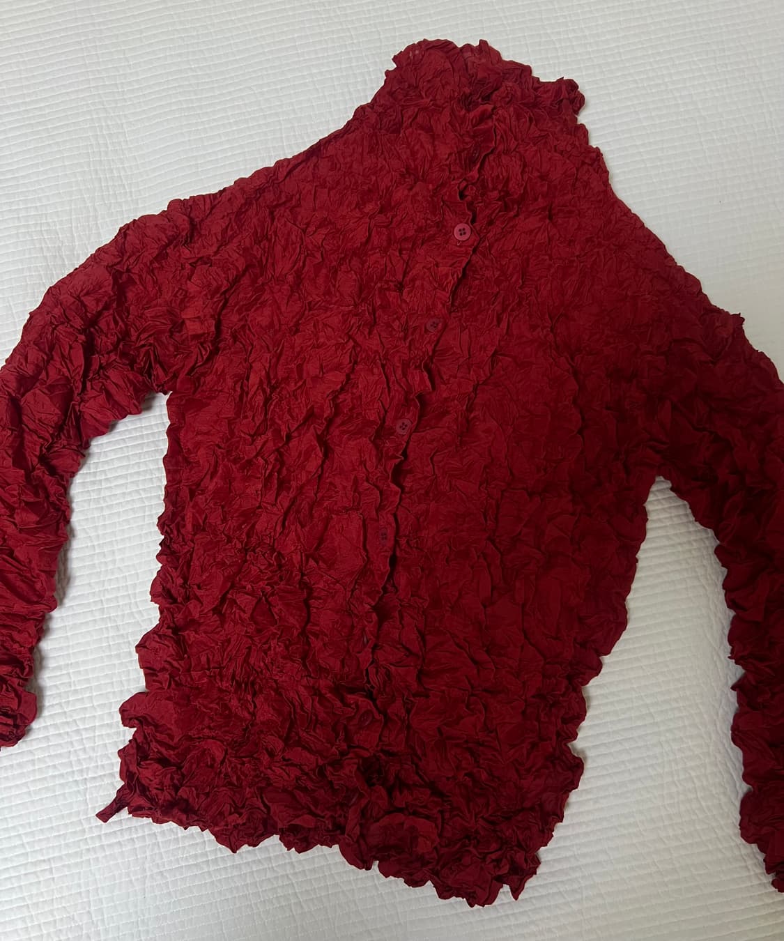 이세이미야케 셔츠 상품이미지4