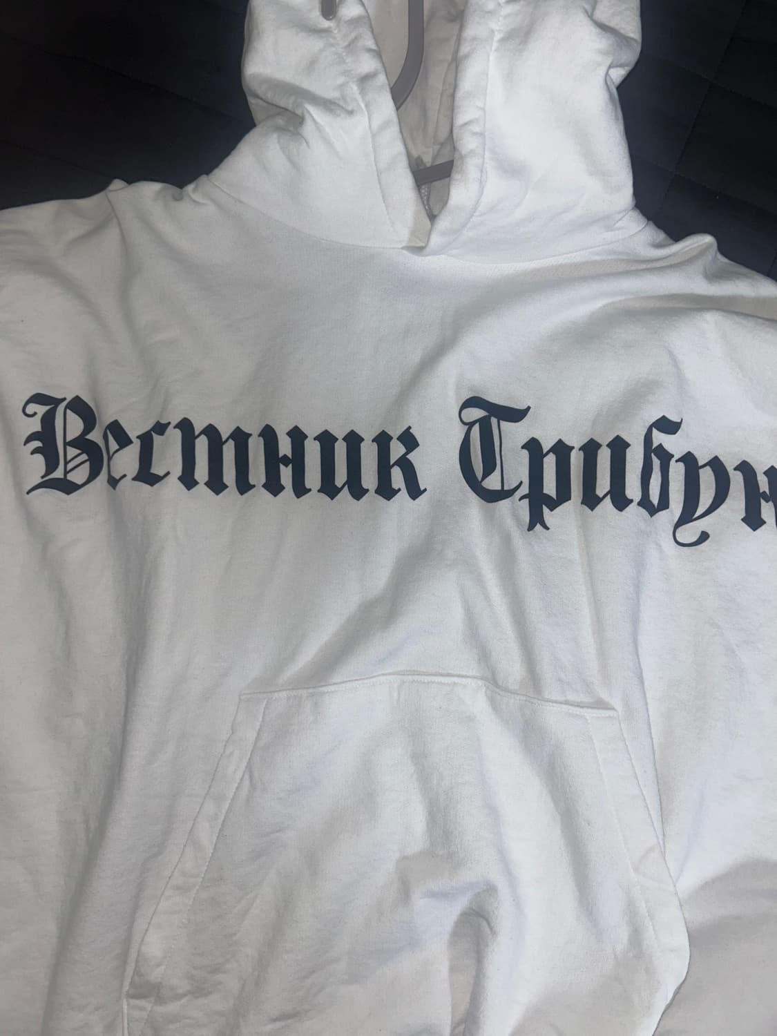 이지 고샤 루브친스키 트리뷴 헤럴드 후드티 상품이미지2