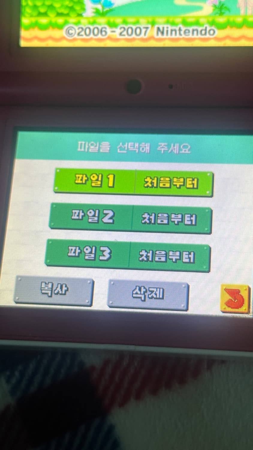 ds 게임 칩 상품이미지4