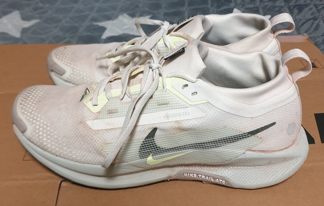 나이키 고어텍스 페가수스 트레일5 런닝화 겸 트레킹화 (275) 상품이미지2