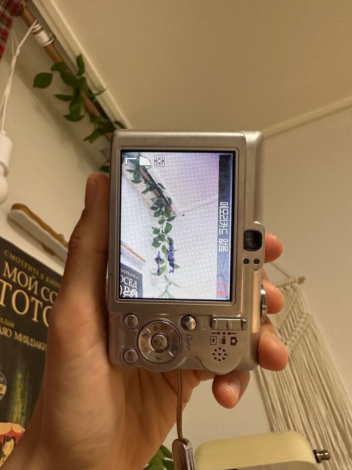 캐논 익서스 55디카/디지털카메라 상품이미지3