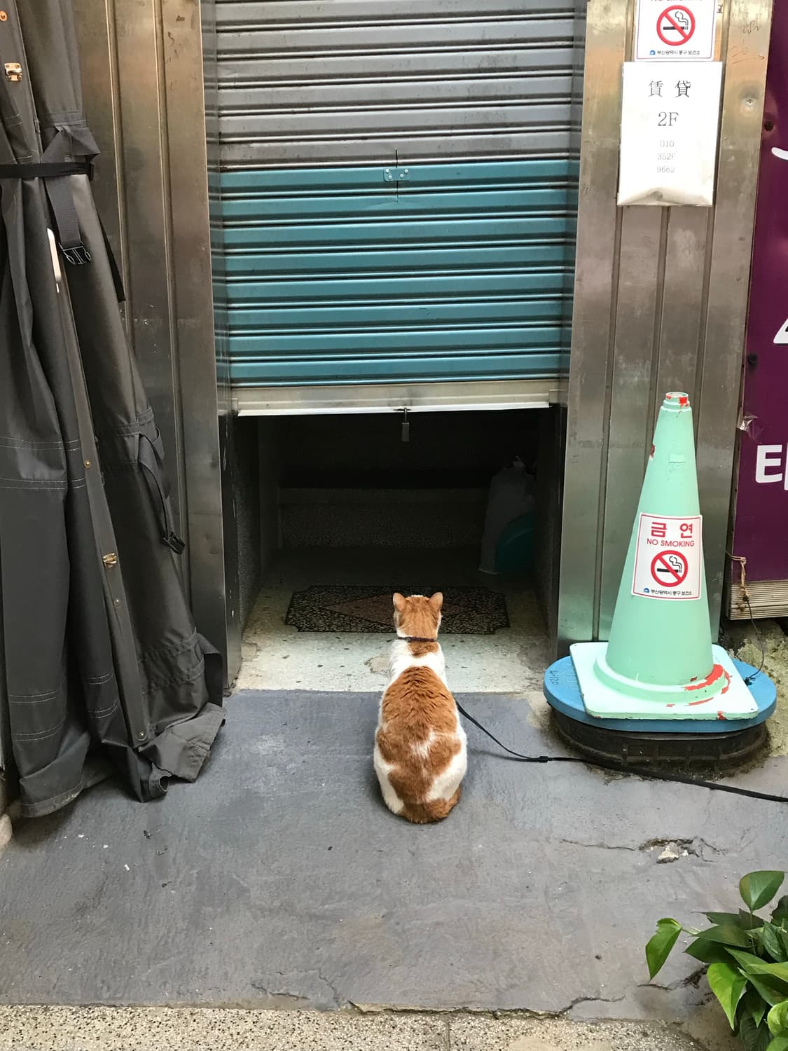 팔로워 만원 할인이벤트 상품이미지1