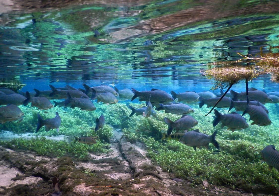 *희귀/한글* Nikon coolpix aw120(aw100) 디카 상품이미지6