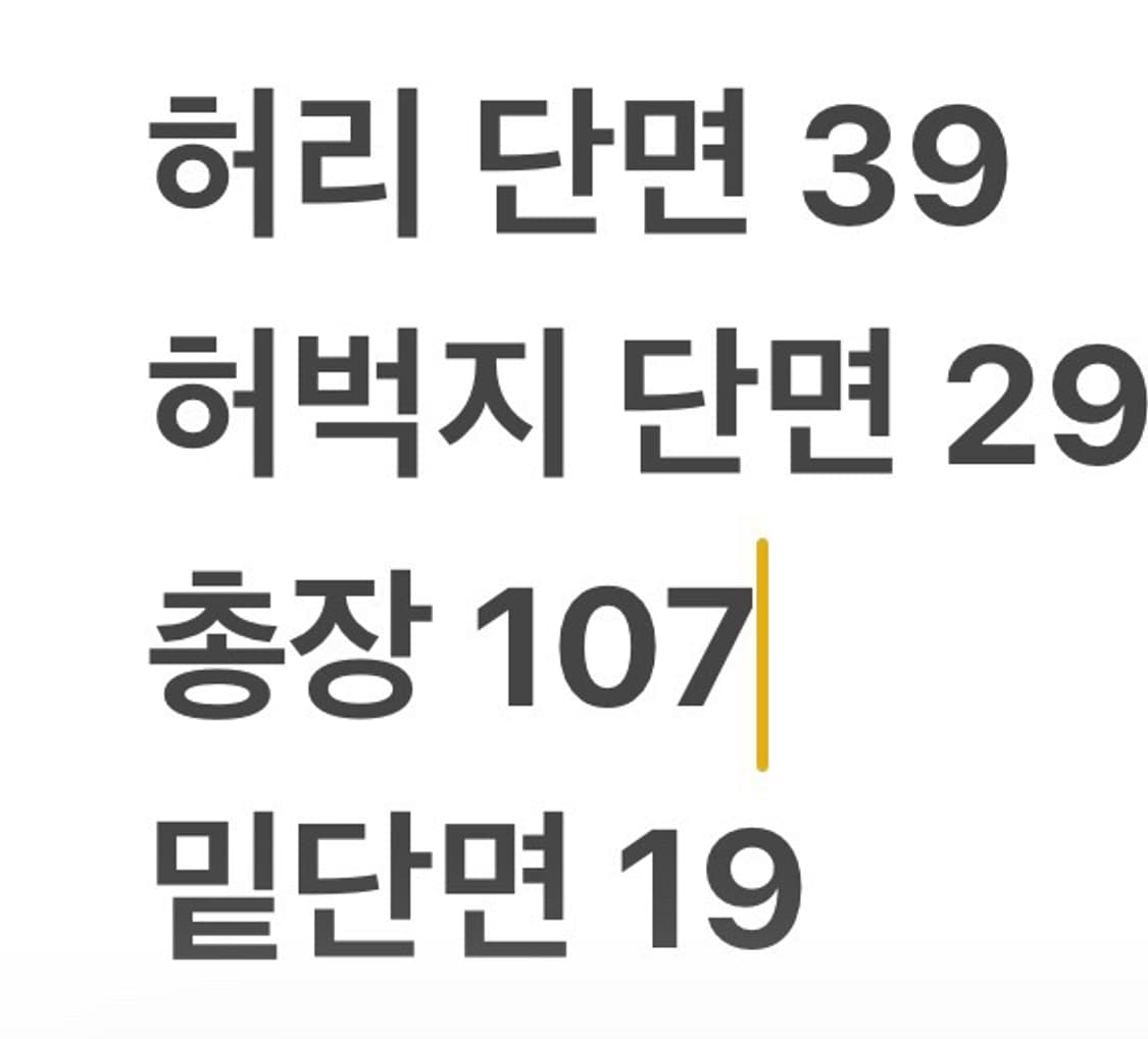 [정품/32] 에비수 데님 청바지 데미지 워싱 체크 포인트 b13 상품이미지8