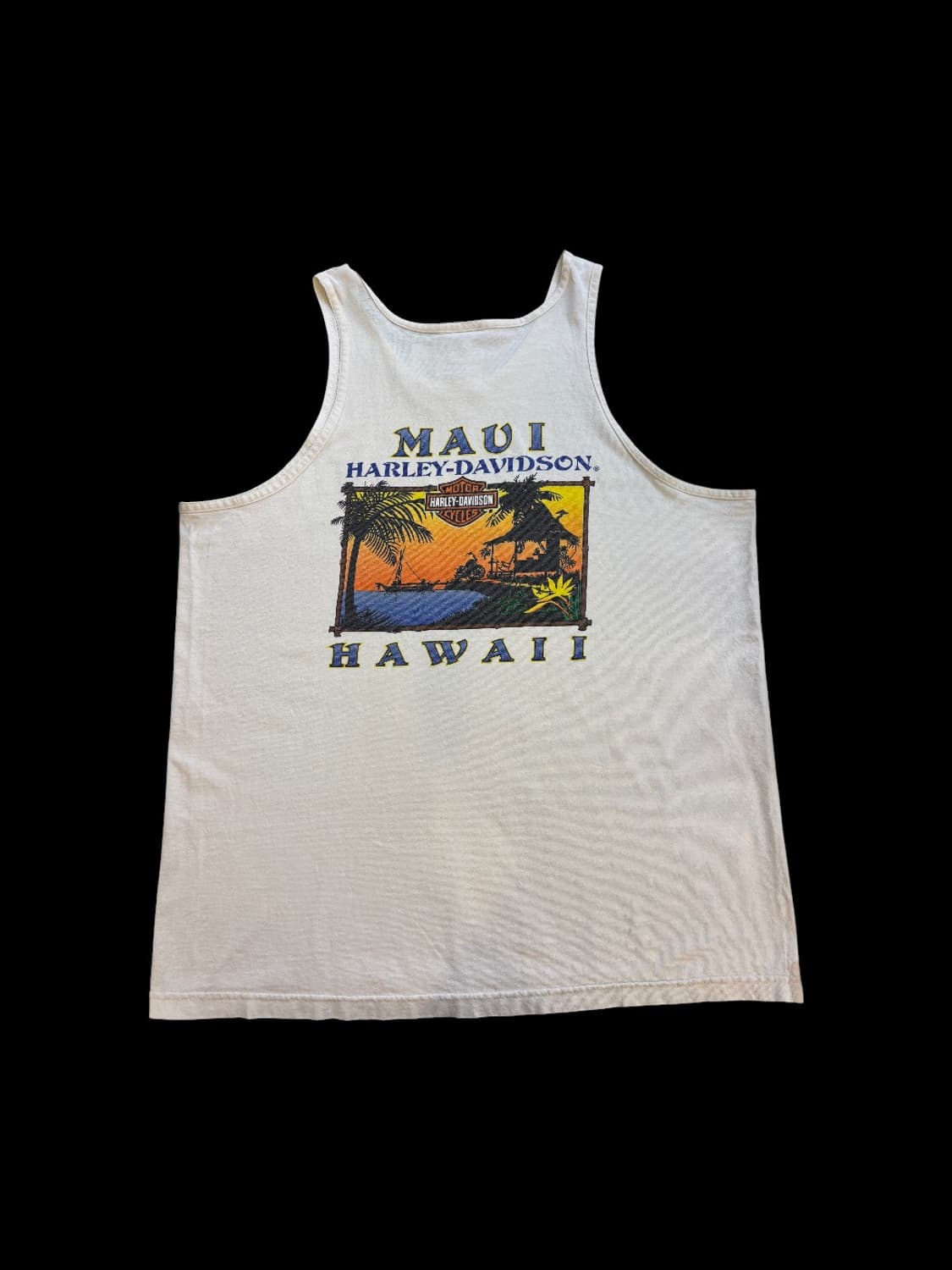 할리 데이비슨 그래픽  나시 상품이미지2