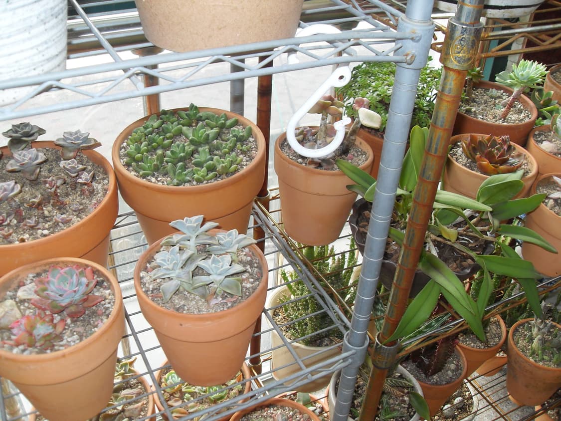 삼성 VLUU L200 상품이미지8