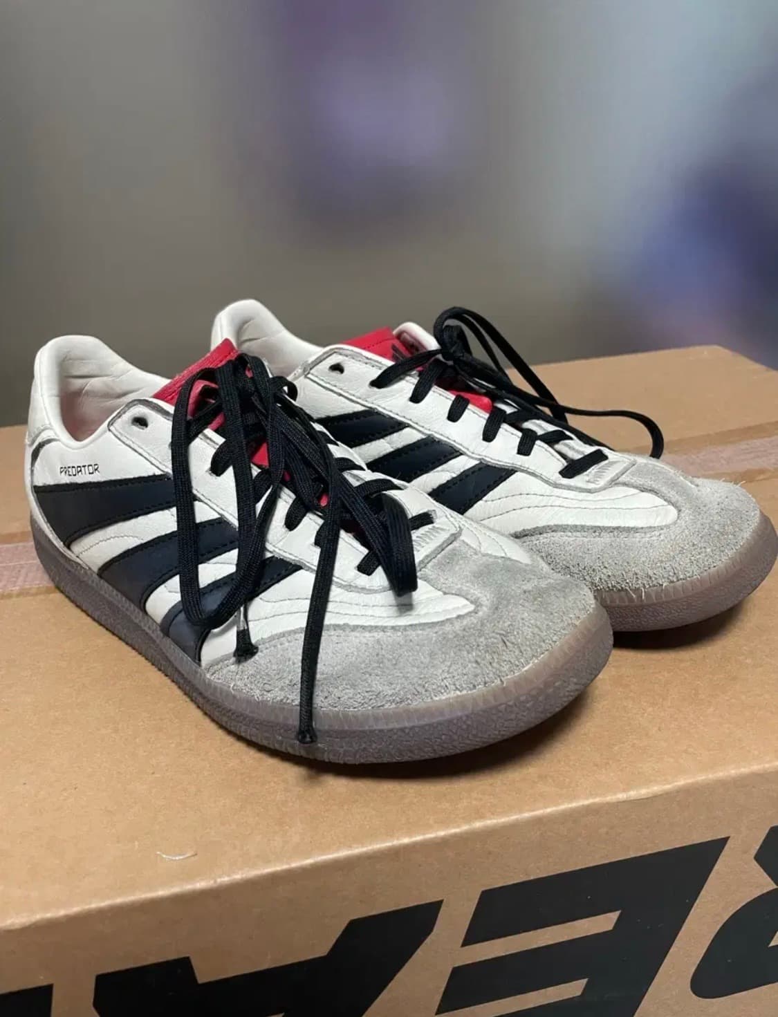 아디다스 프레데터 프리스타일 인도어화 상품이미지2