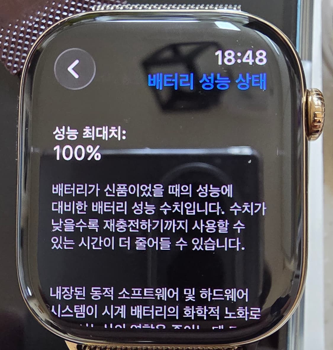 애플워치 시리즈11 티타늄골드 46mm  상품이미지3