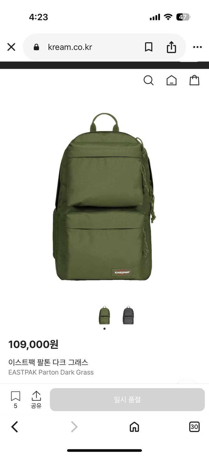 이스트팩 팔톤 다크 그래스 백팩 상품이미지1