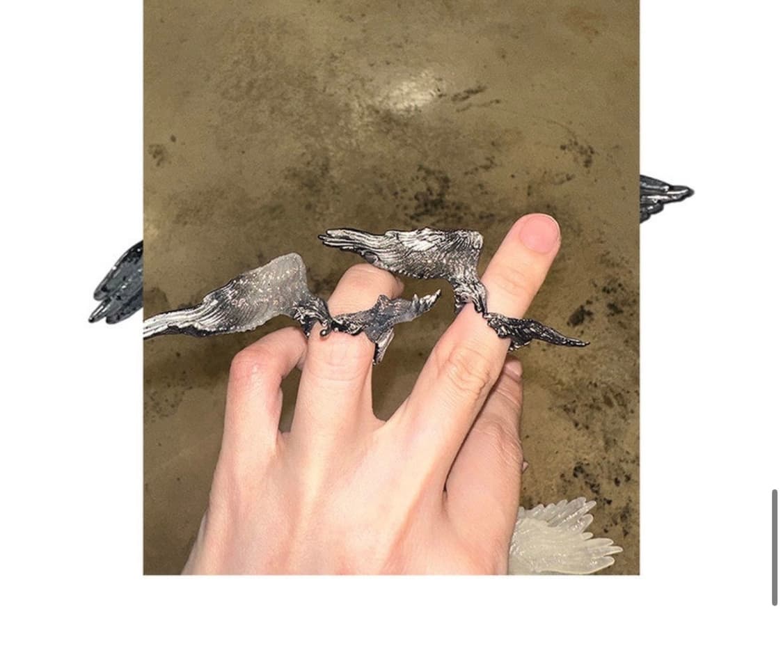 weak generation wing ring 상품이미지1