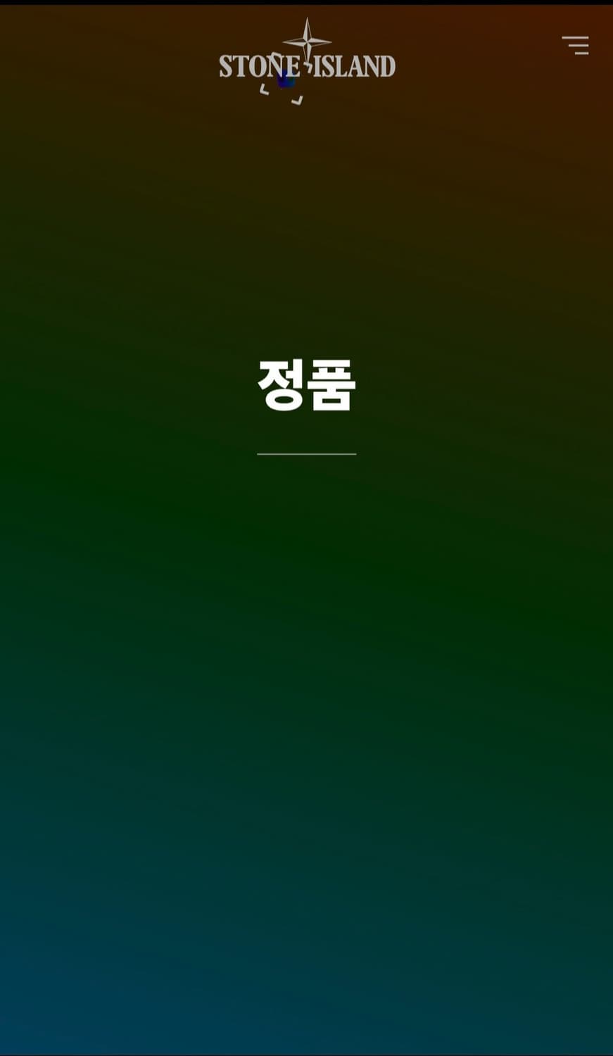 스톤아일랜드 맨투맨 L 상품이미지5