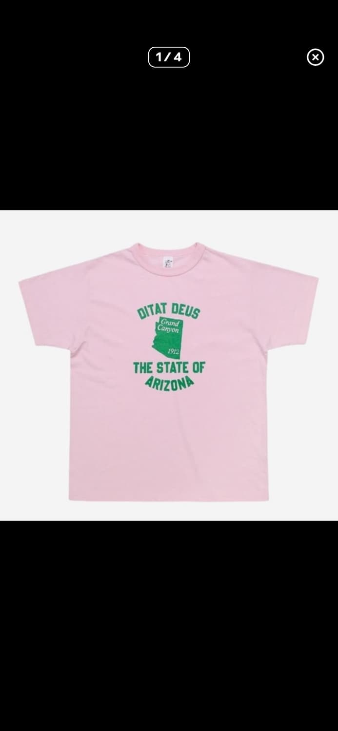 컬렉트피시스 아리조나 반팡티셔츠 상품이미지1