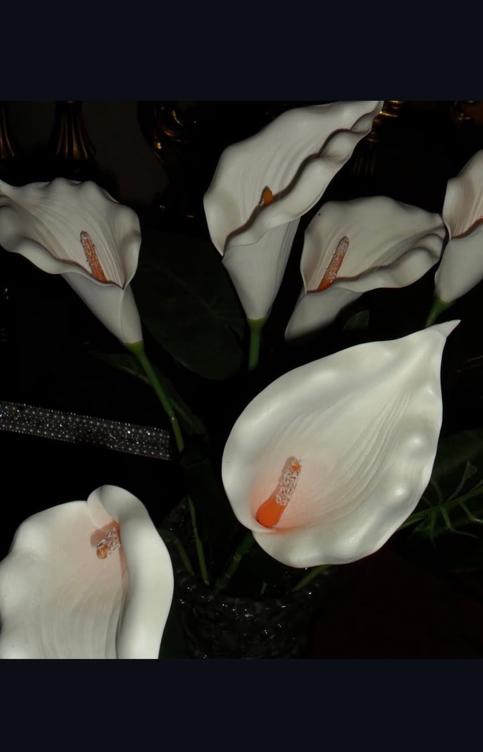 삼성 pl20 디지털카메라 상품이미지8