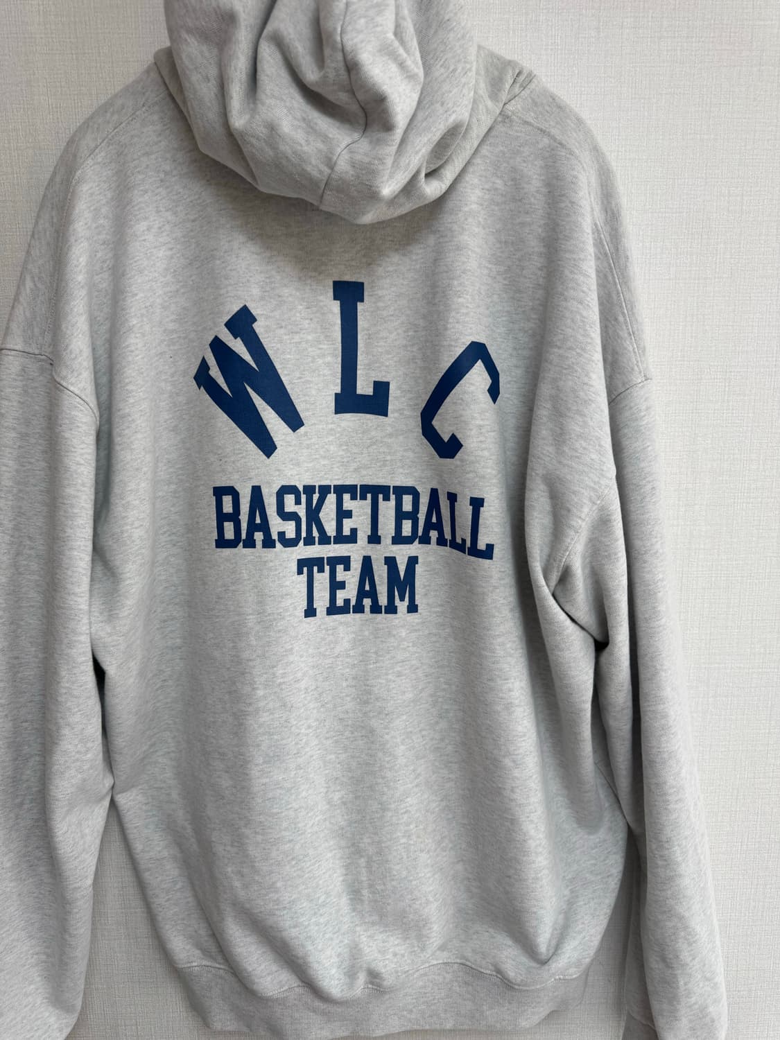 듀테로 X 암피스트 WLC B.T. 후드티 L 상품이미지2