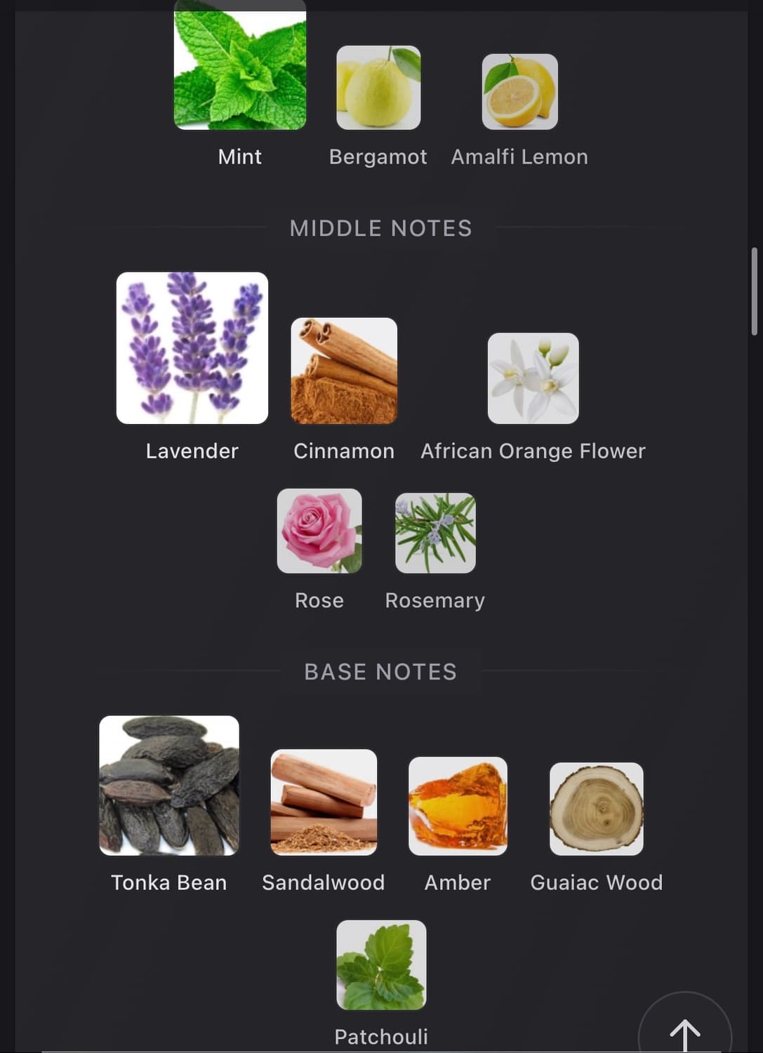 [풀박스 정품] 퍼퓸드말리 달리 125ml 상품이미지10