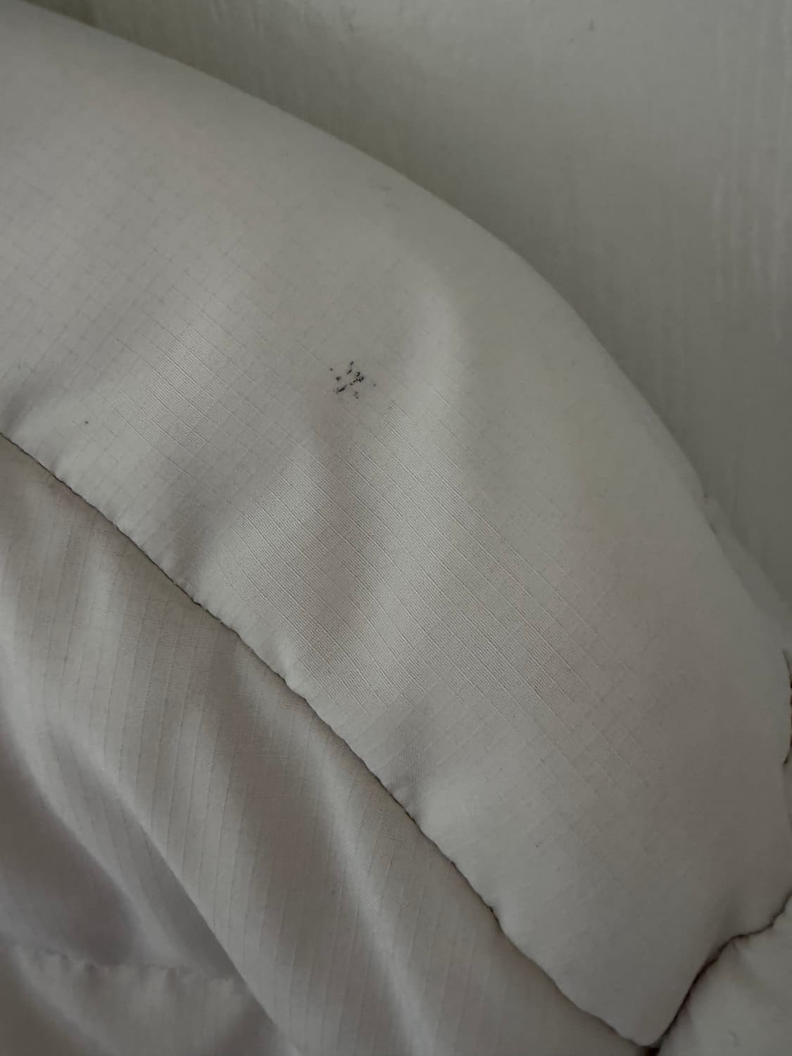 뉴챔프 나이키 패딩 화이트 상품이미지3