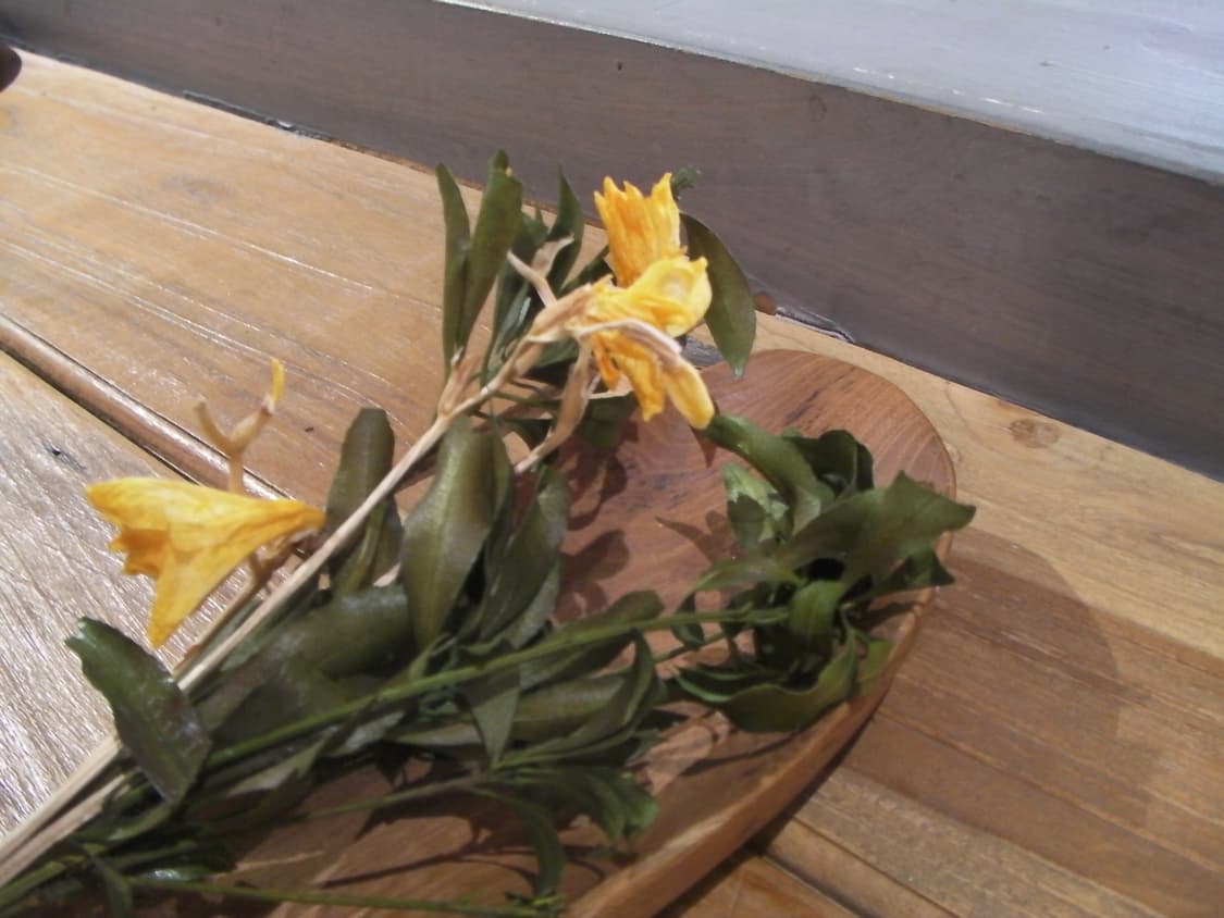 (새상품급) 산요작티 ca9 상품이미지7