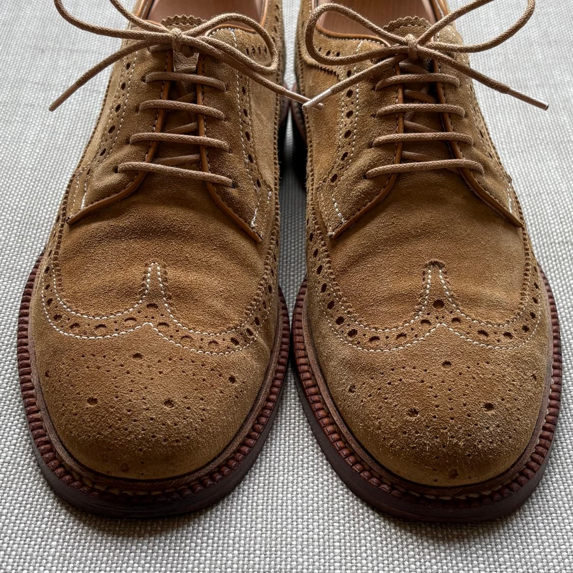 [255] Berwick 4794 카멜 스웨이드 브로그 윙팁 상품이미지2