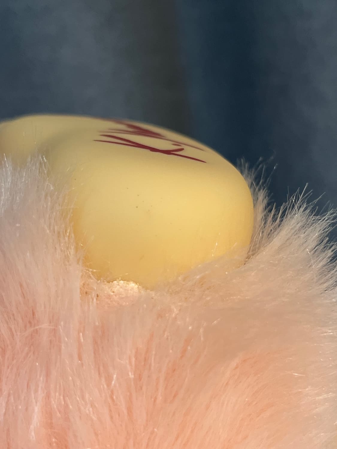 디자이너 몬치치 라지(L) 복각판 상품이미지8