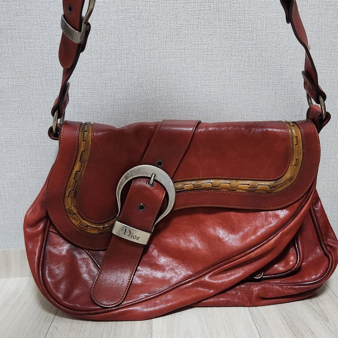 디올 가우초백 상품이미지1