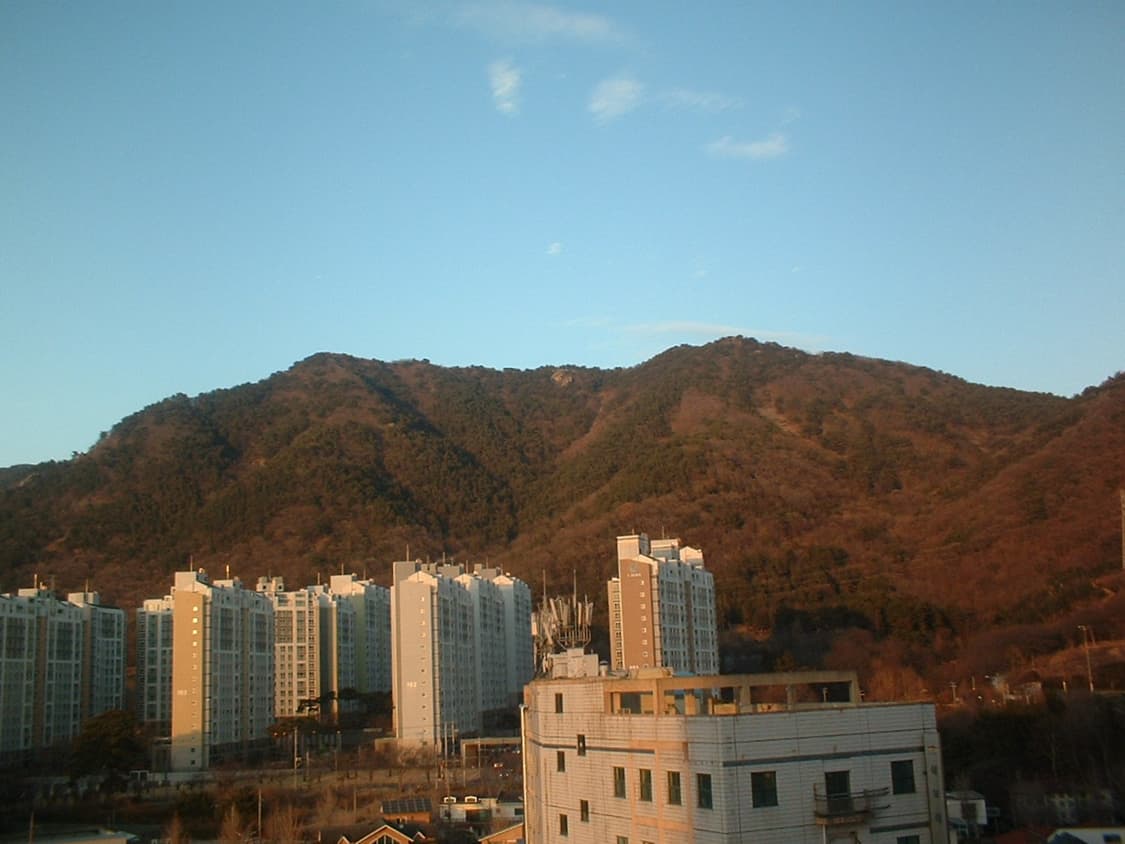 풀구성 후지필름 파인픽스 a201(작례O) 상품이미지10