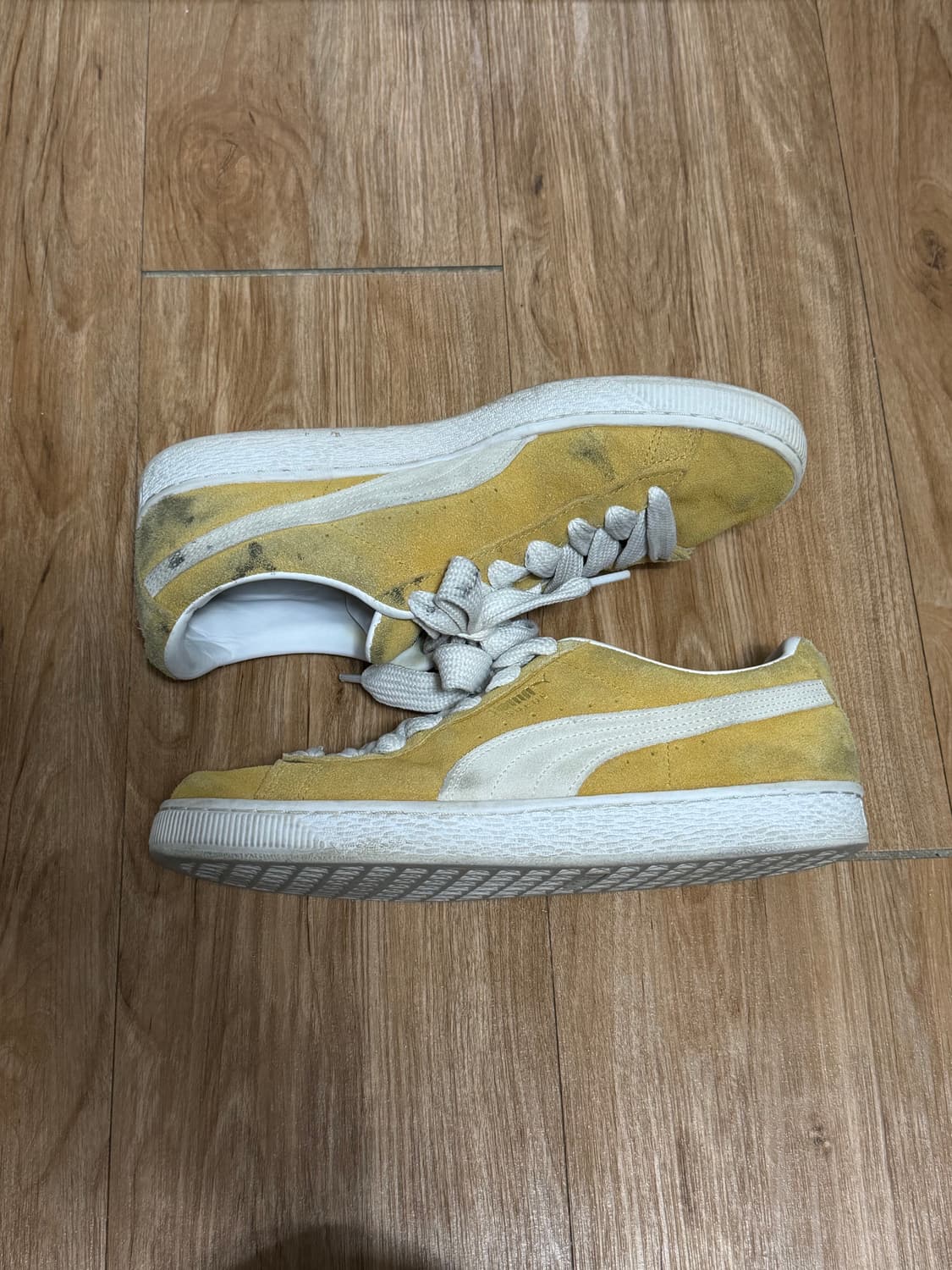 퓨마 스웨이드 클래식 머스타드 상품이미지2