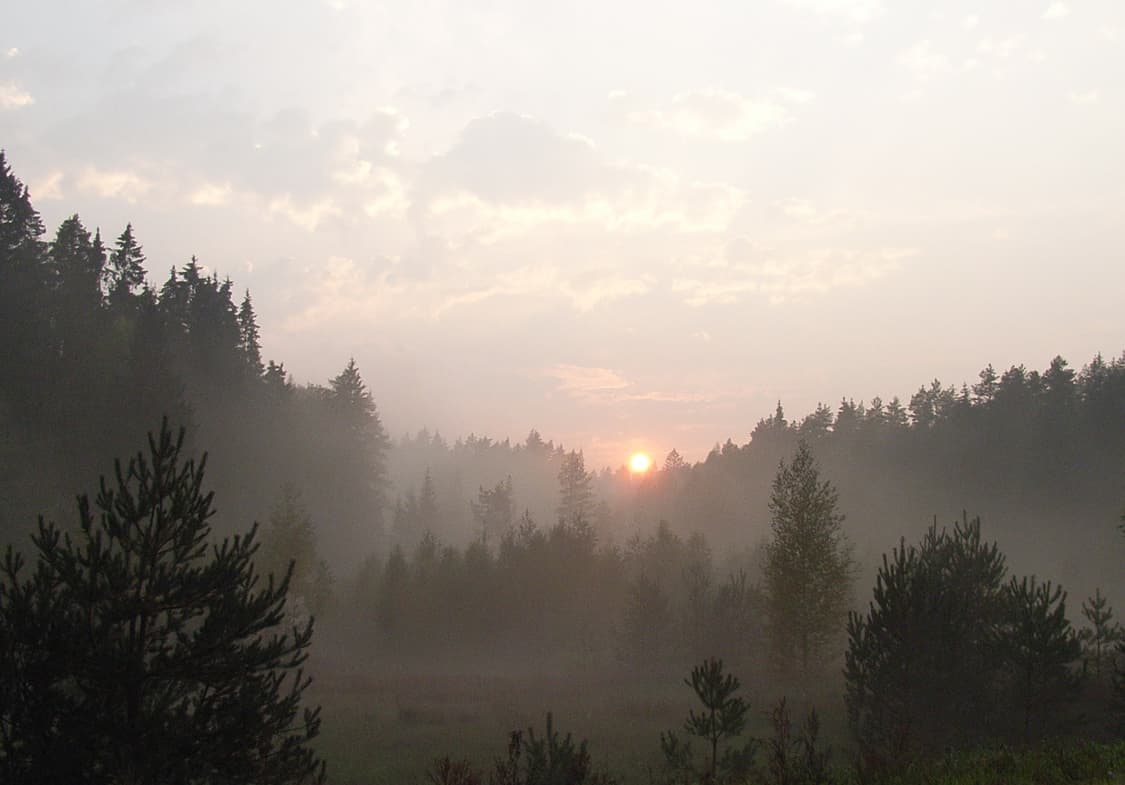 (필카감성) 리코 R40 블랙 디카 디지털카메라 빈티지  //캐논 니콘 상품이미지6