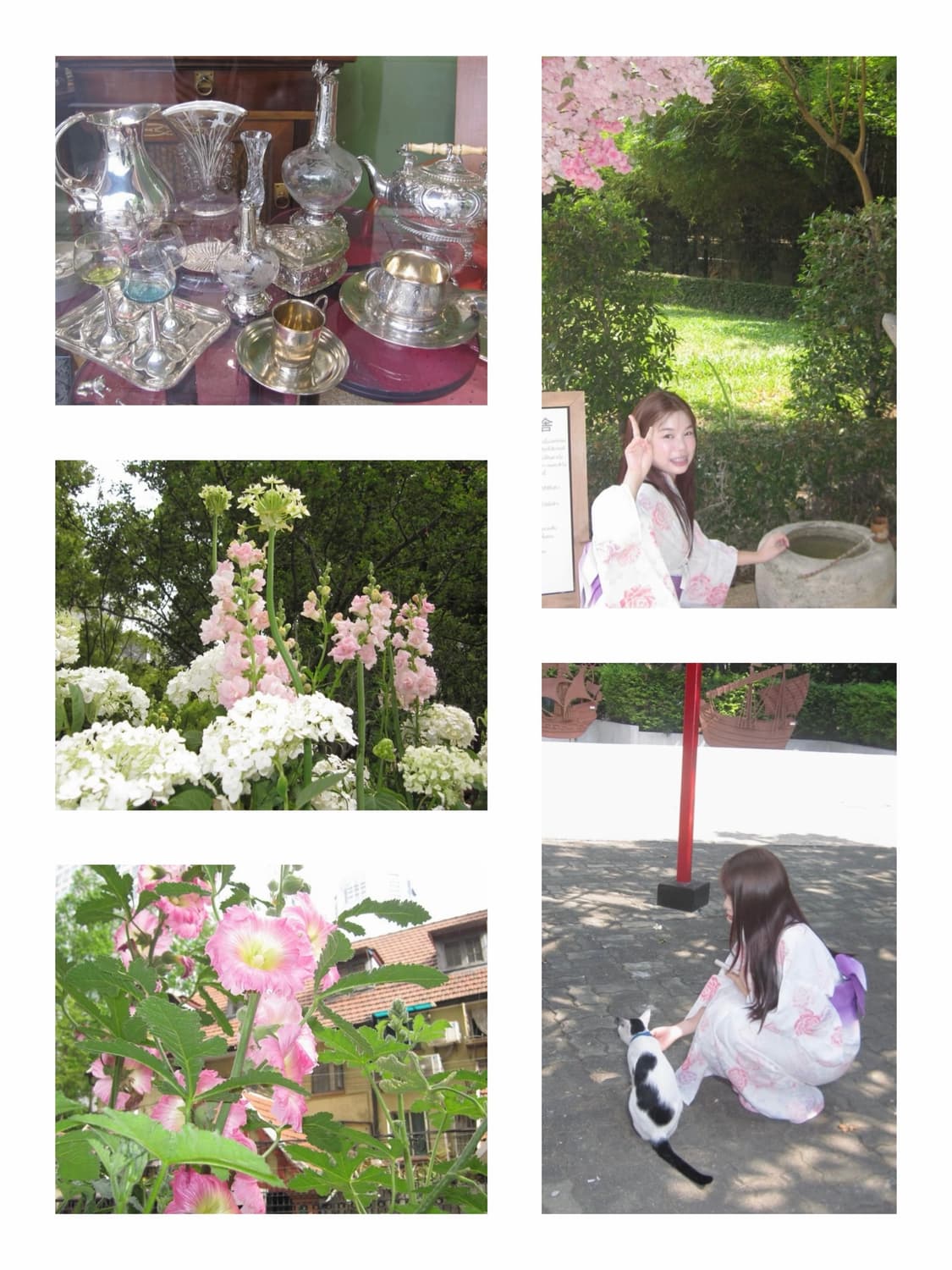 카리나🧚‍♀️/초미품 캐논 Canon IXY 510 (IXUS 110) 상품이미지6