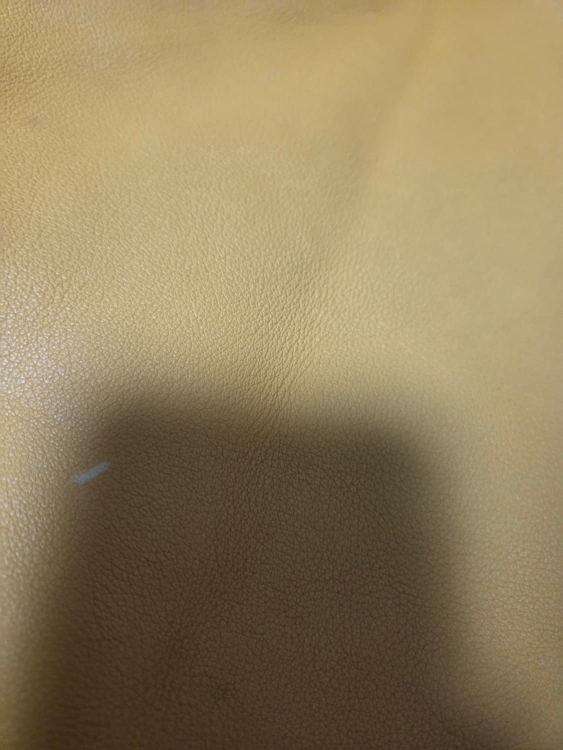 로에베 안톤백팩 겨자색 상품이미지4