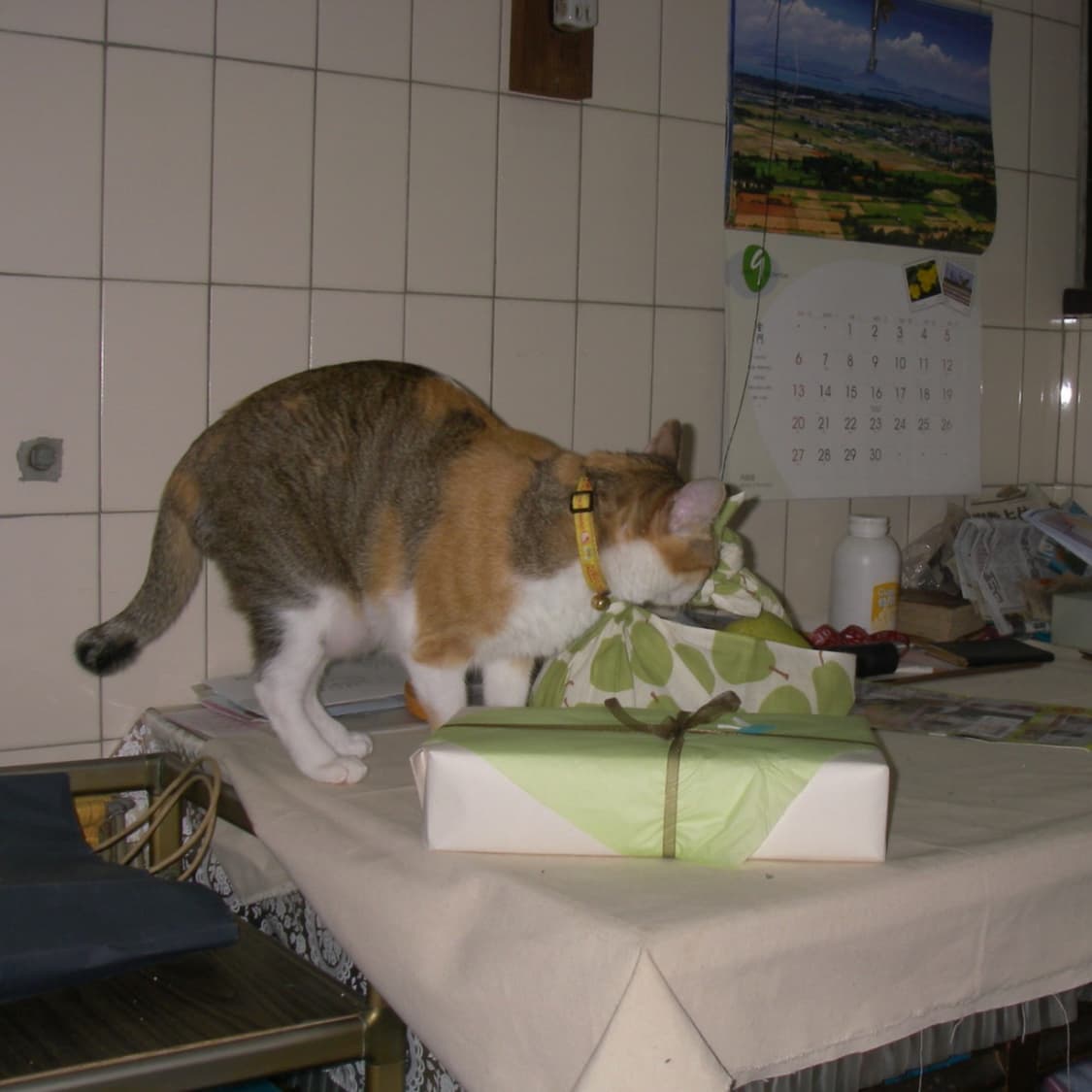 펜탁스 옵티오 w20 ( 소프트포커스 기능) 상품이미지4