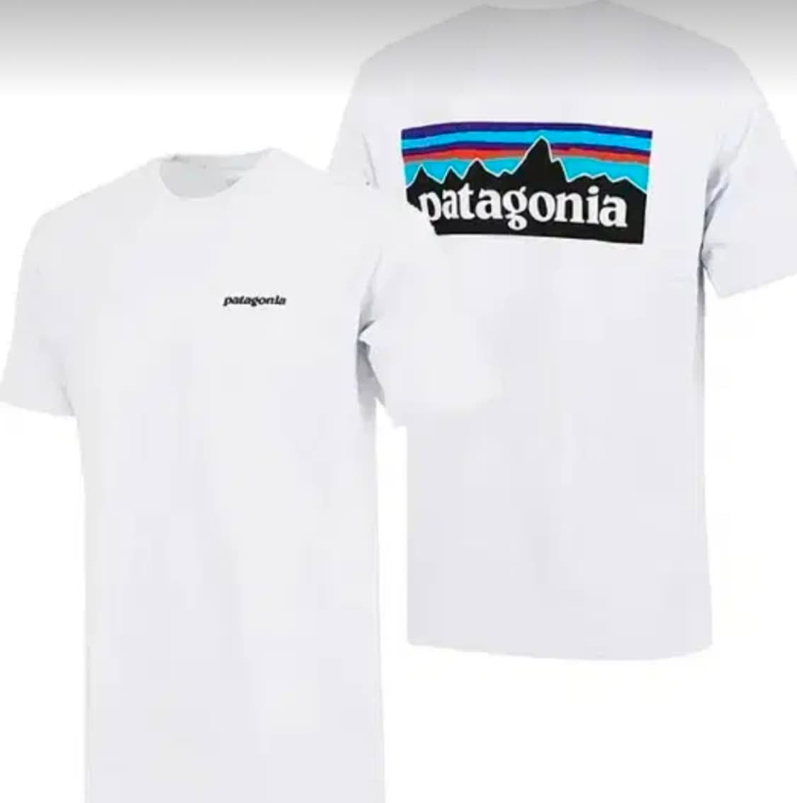 파타고니아 반팔티 상품이미지1