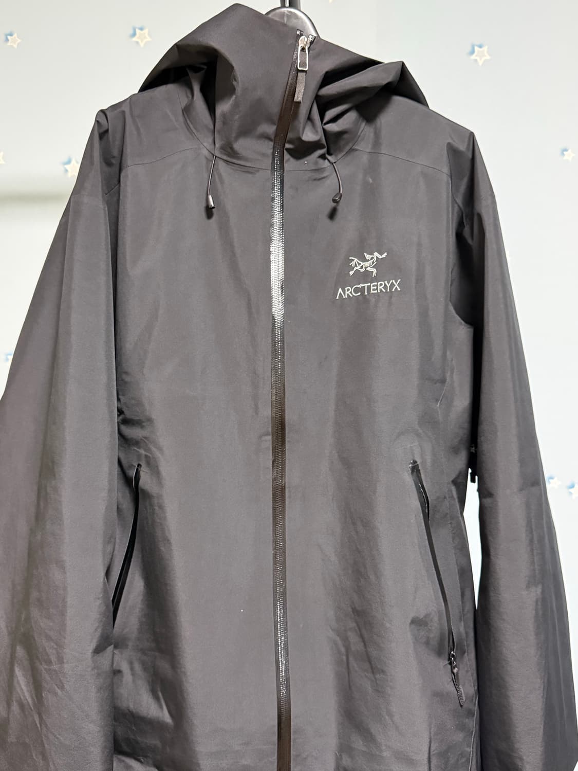 아크테릭스 베타LT vintage 상품이미지1