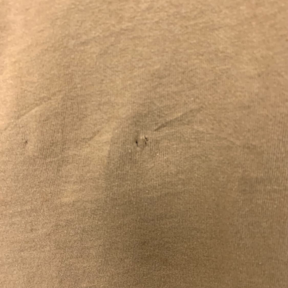 단톤 로고 카멜 원피스 상품이미지6