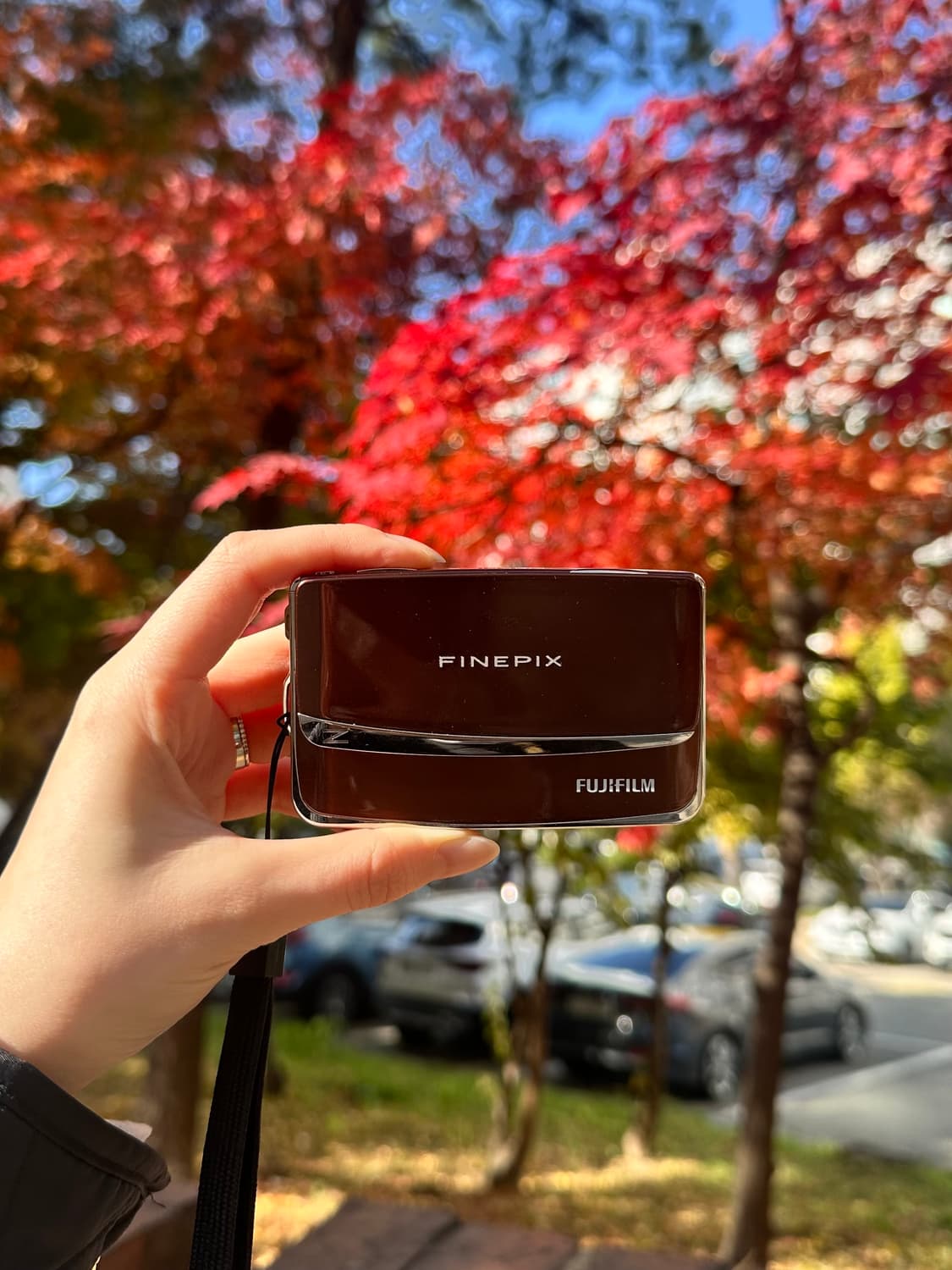 (희귀 브라운, 작례o) Fujifilm 후지필름 파인픽스 Z80 상품이미지1