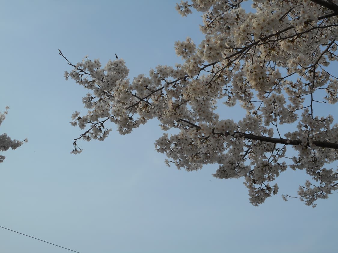 니콘 쿨픽스 s3600 핑크 디지털 카메라 상품이미지10