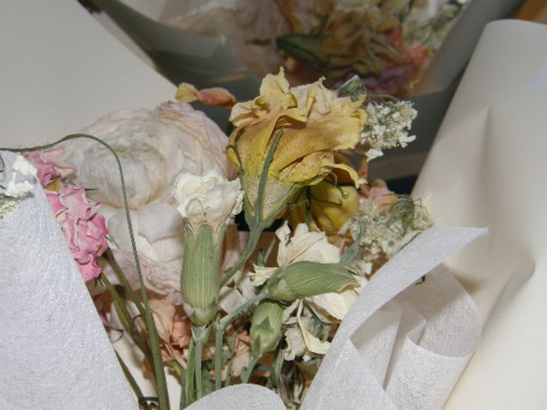 올림푸스 SP-550UZ [작례O] 상품이미지9