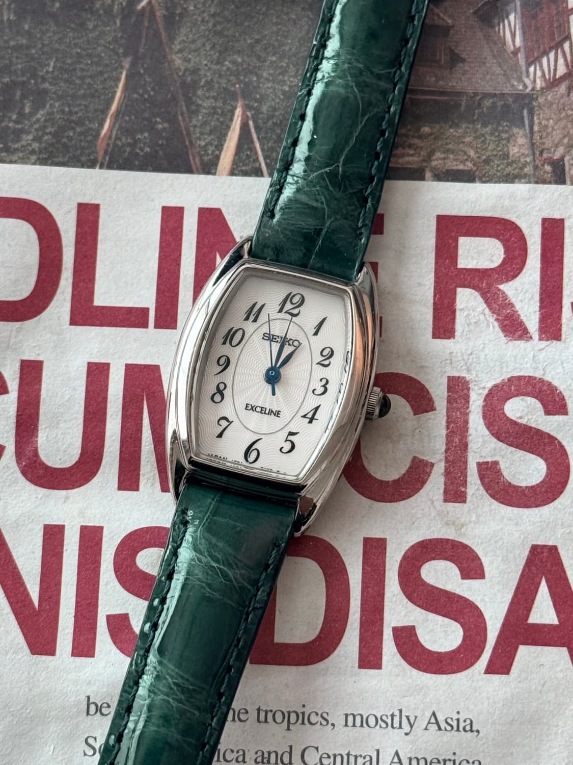 세이코 Seiko Exceline 레이디스  상품이미지1