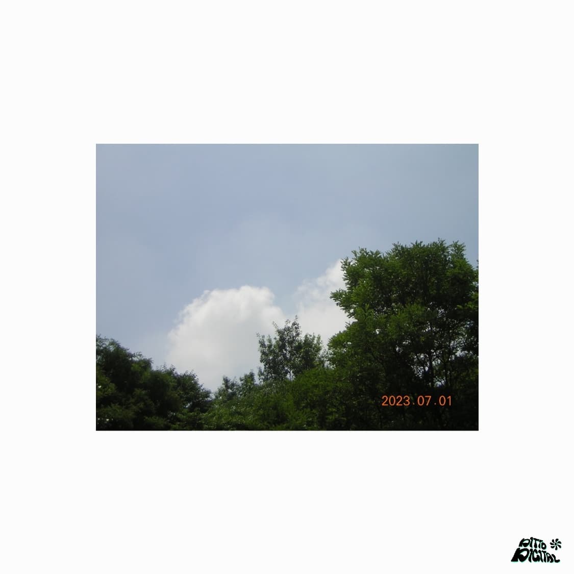 Nikon Coolpix 2200디카 상품이미지6