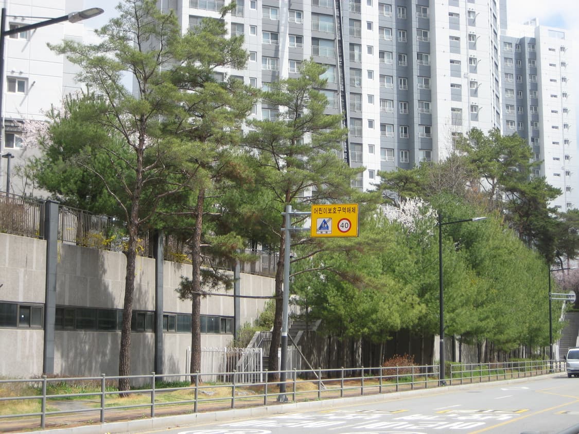 캐논 ixus 65 판매합니다 (작례있음!) 상품이미지7