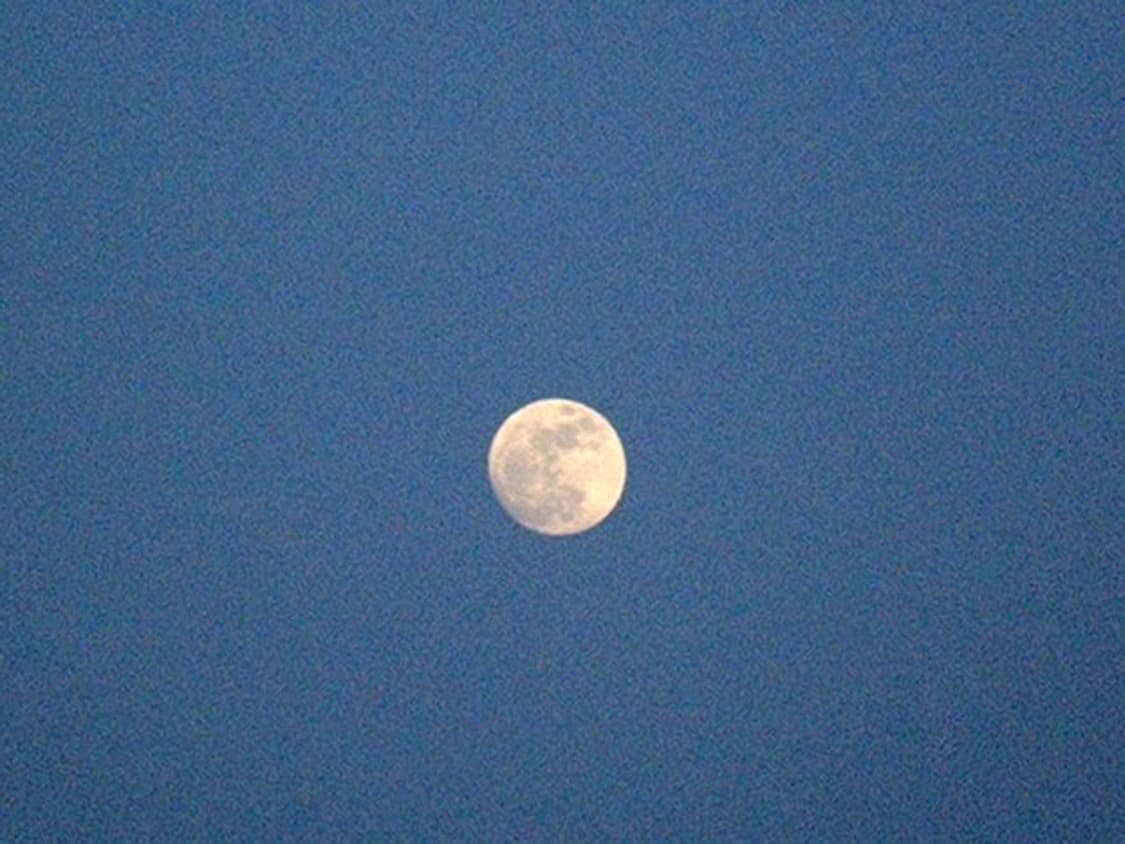 Pentax Digibino DB200 상품이미지5