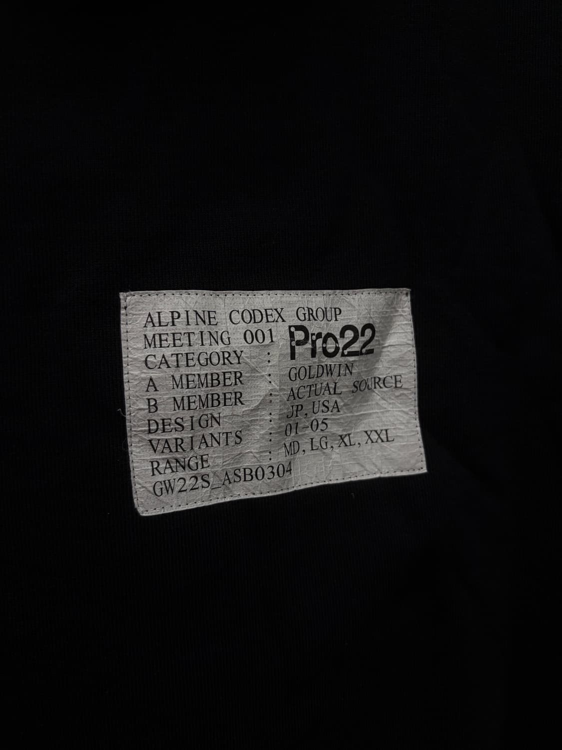 골드윈 알파인 코덱스 그룹 후드 상품이미지3