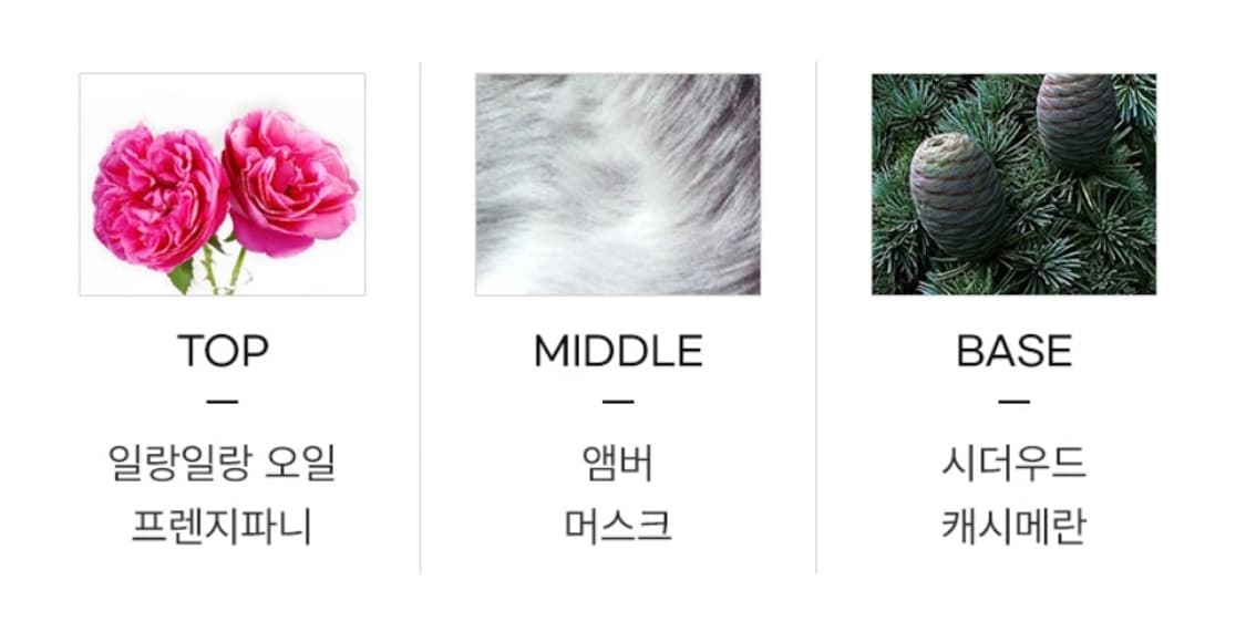 나르시소 로드리게즈 엉브레 오드퍼퓸 90ml 상품이미지3