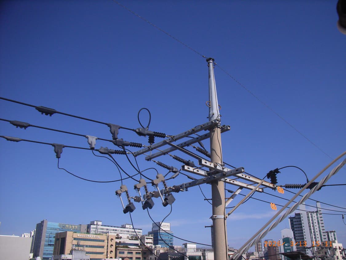 Rare작례🅾️리코 카플리오 R1v 디카 디지털카메라 상품이미지10