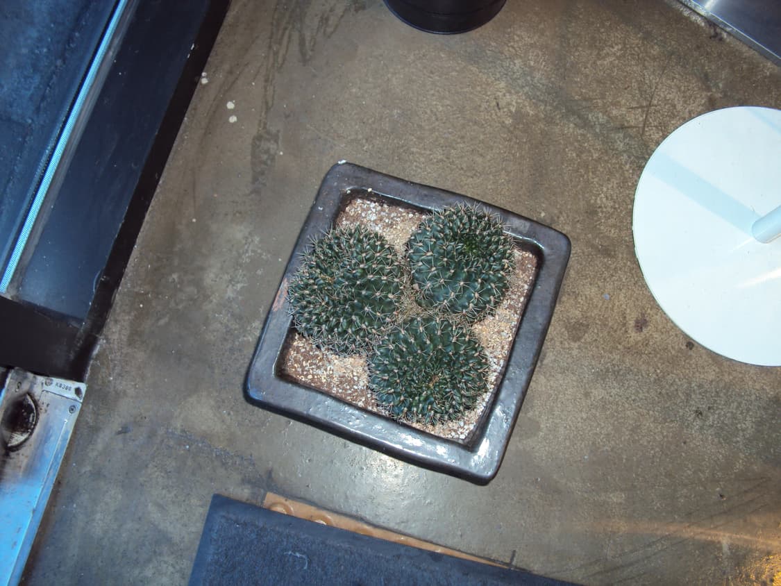 소니 사이버샷 dsc-w190 실버 빈티지디카 상품이미지8