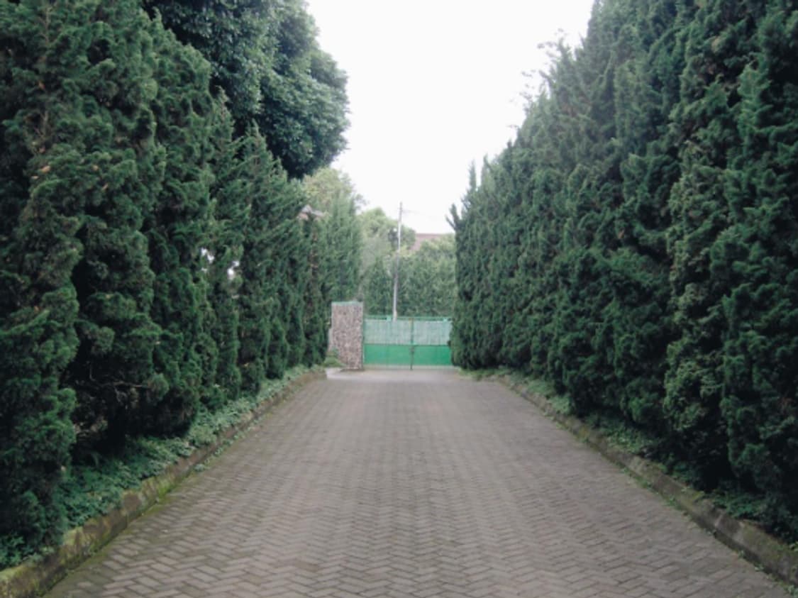 HP 포토스마트 M307 디카 (빈티지 카메라) 상품이미지6