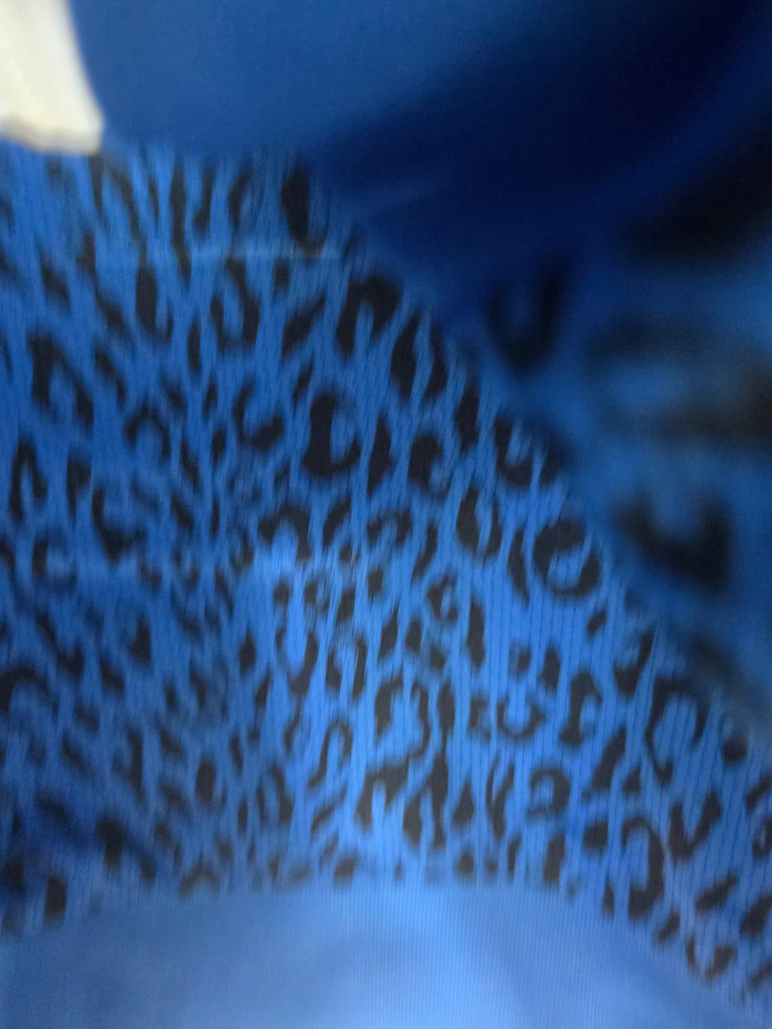 아디다스 블루 저지 트랙탑  상품이미지7