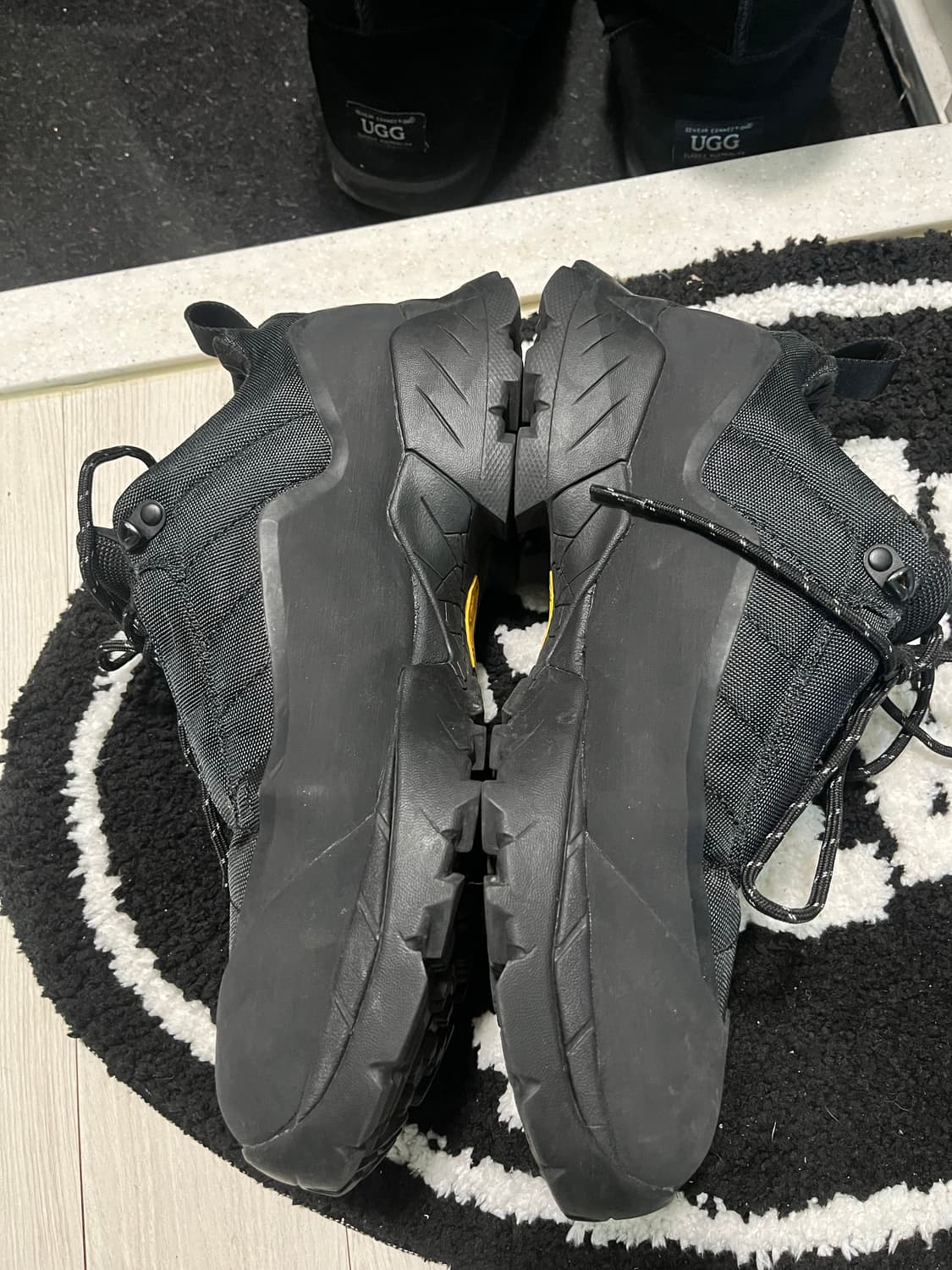 로아 카타리나 285  상품이미지4