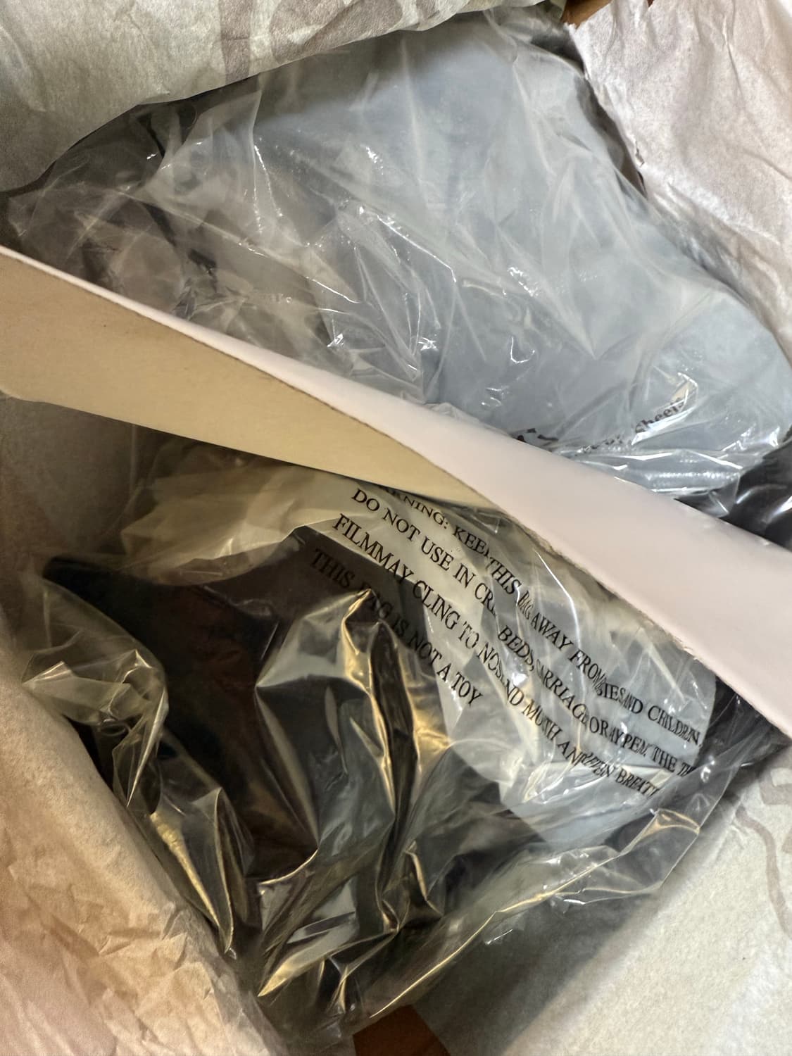 37 애쉬 보위 운동화 (미착용 새상품) 240 상품이미지3