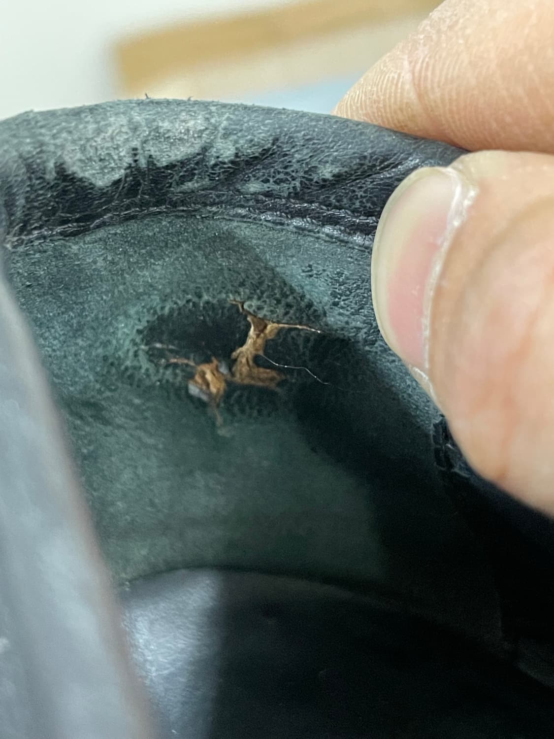 페레가모 아담 네로 로퍼 6 상품이미지9